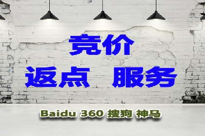 充值高返点案例：新手快速入门指南
